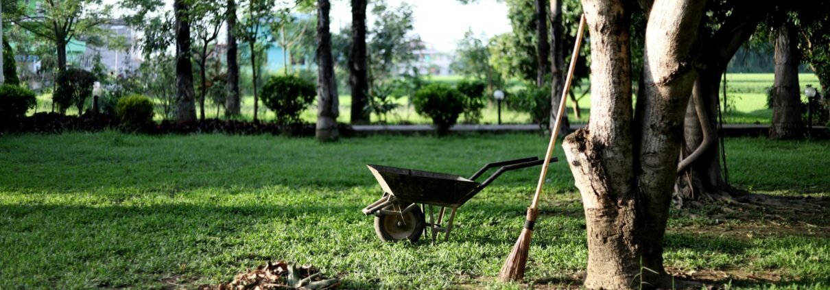 Garden Clearances