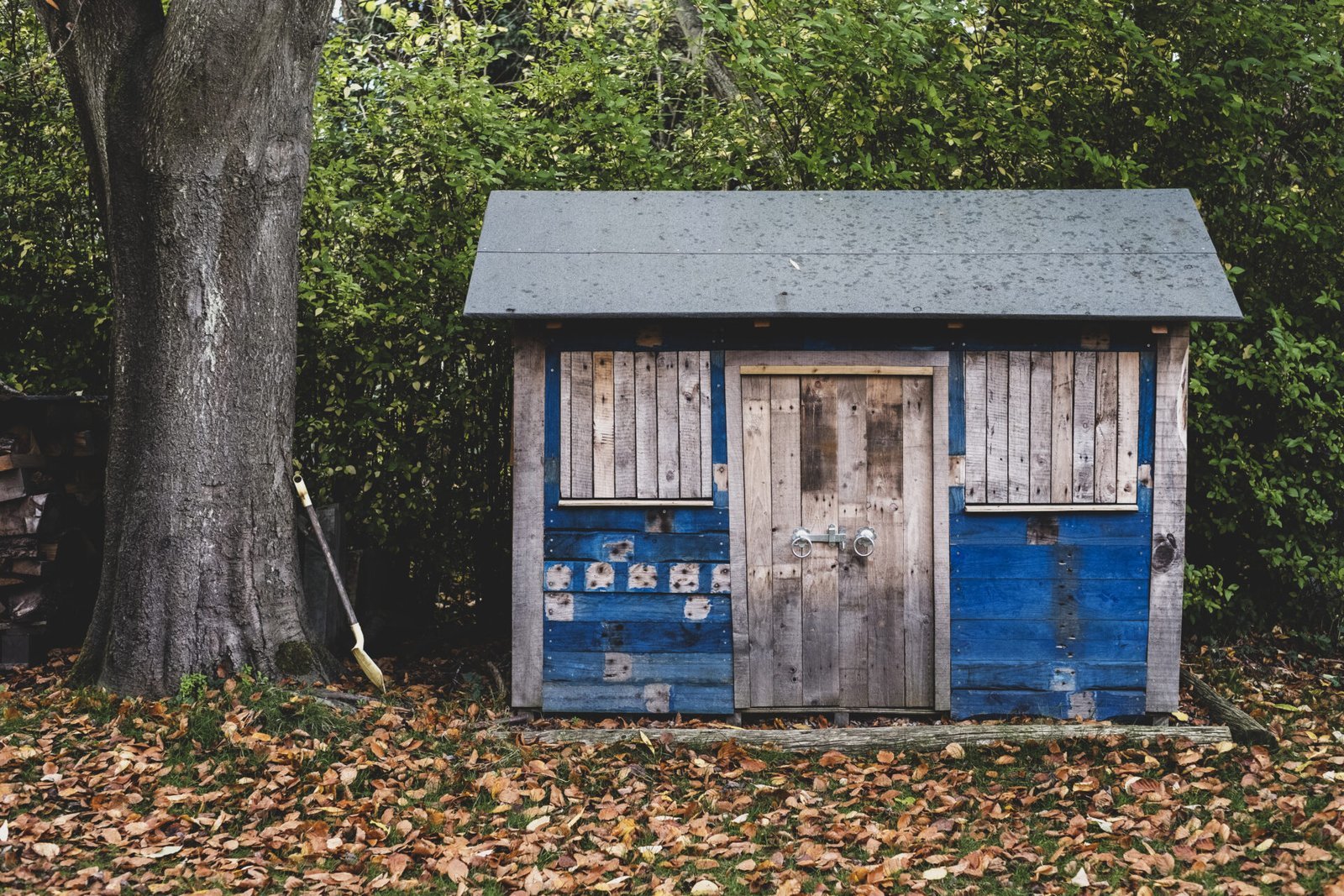 garden clearance services