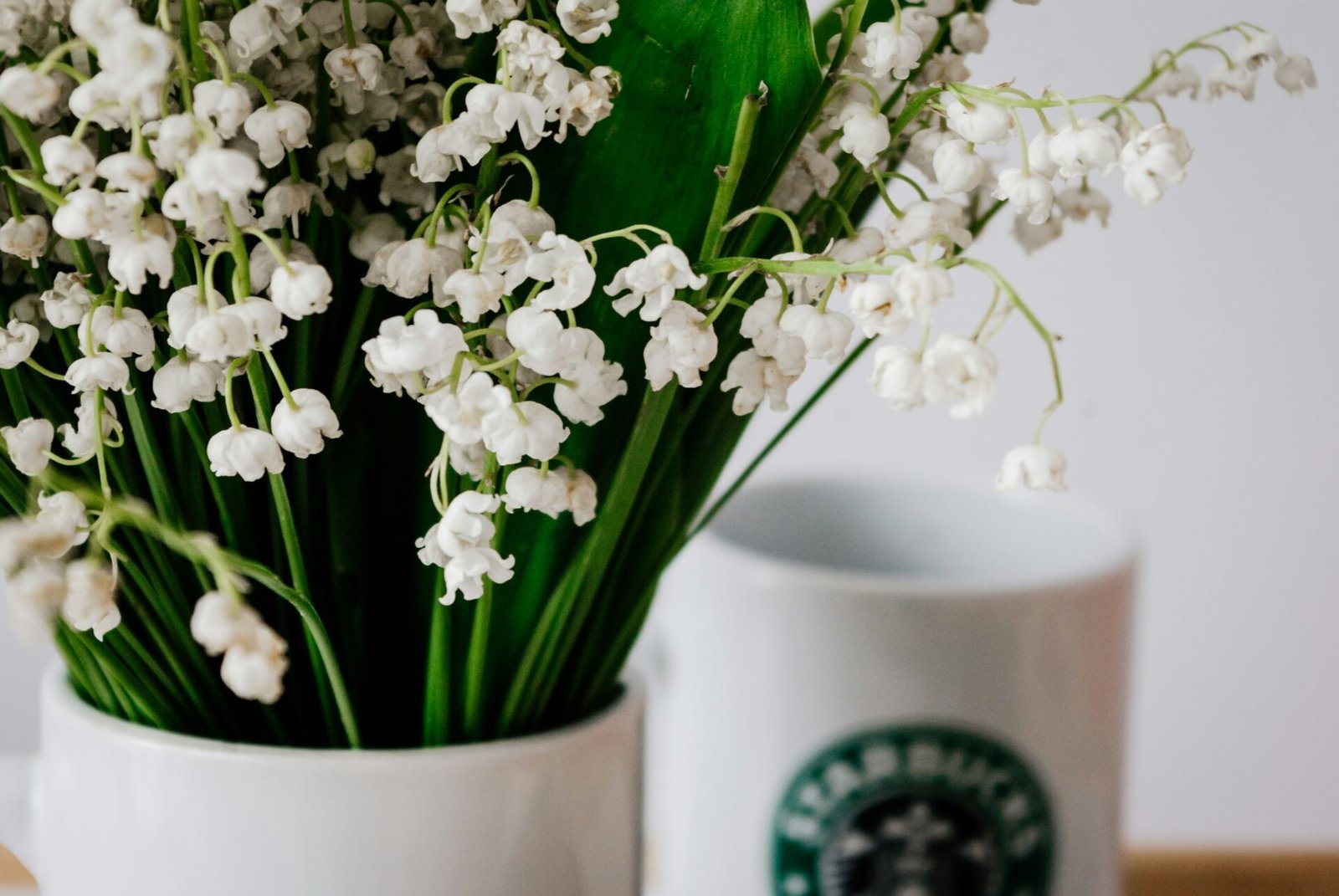 House Clearances London