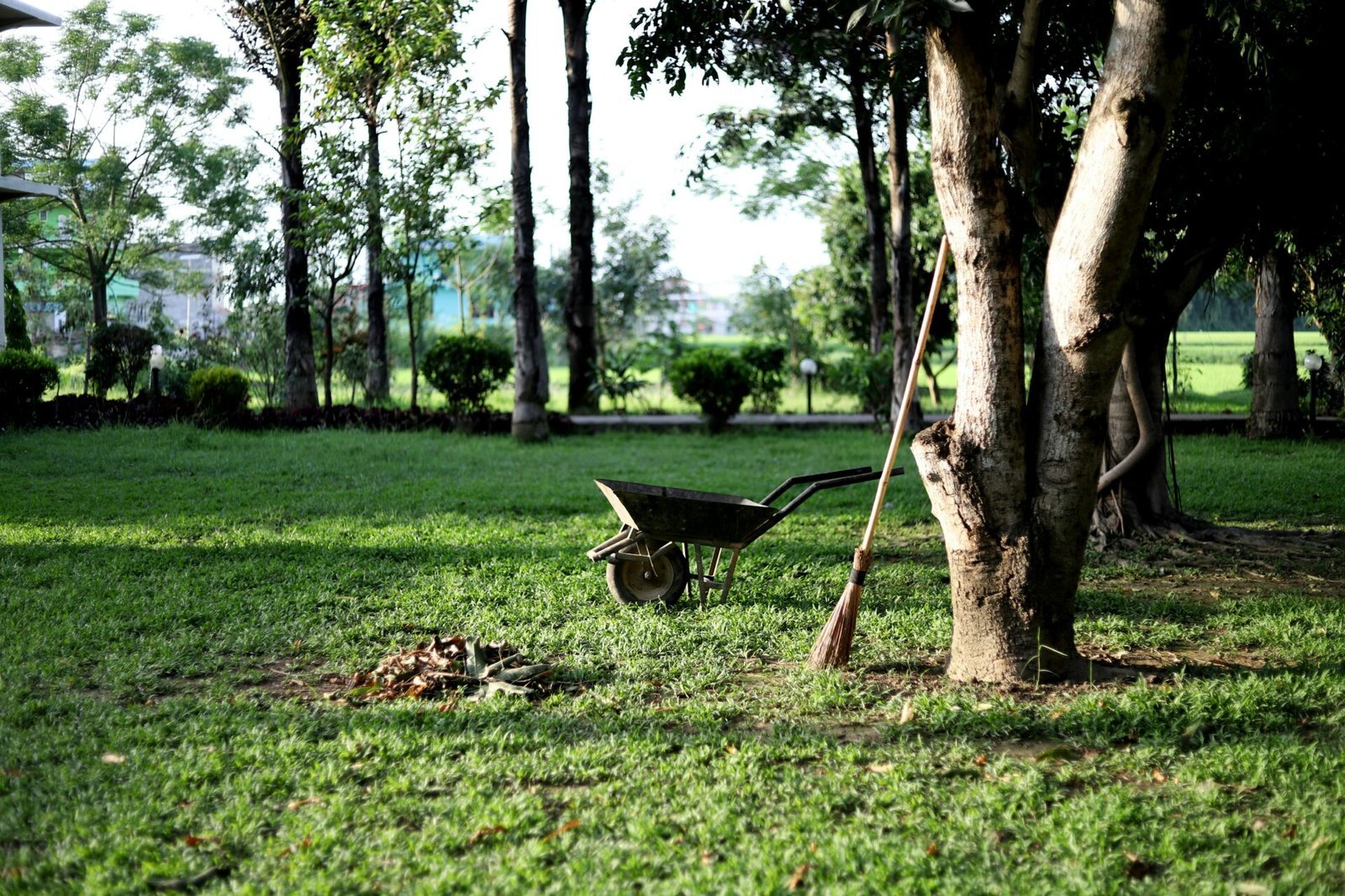 Garden Clearances