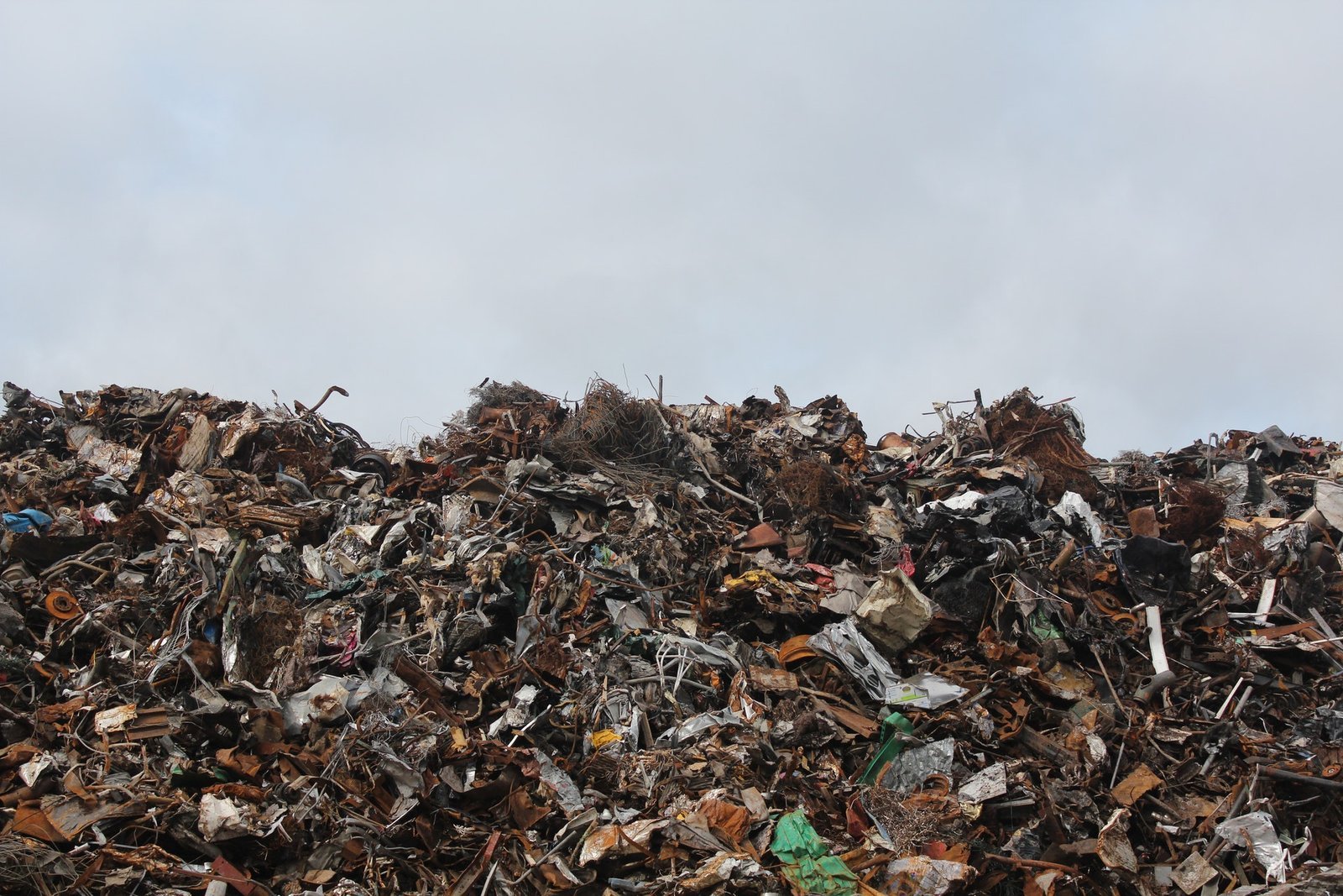 house clearance surrey