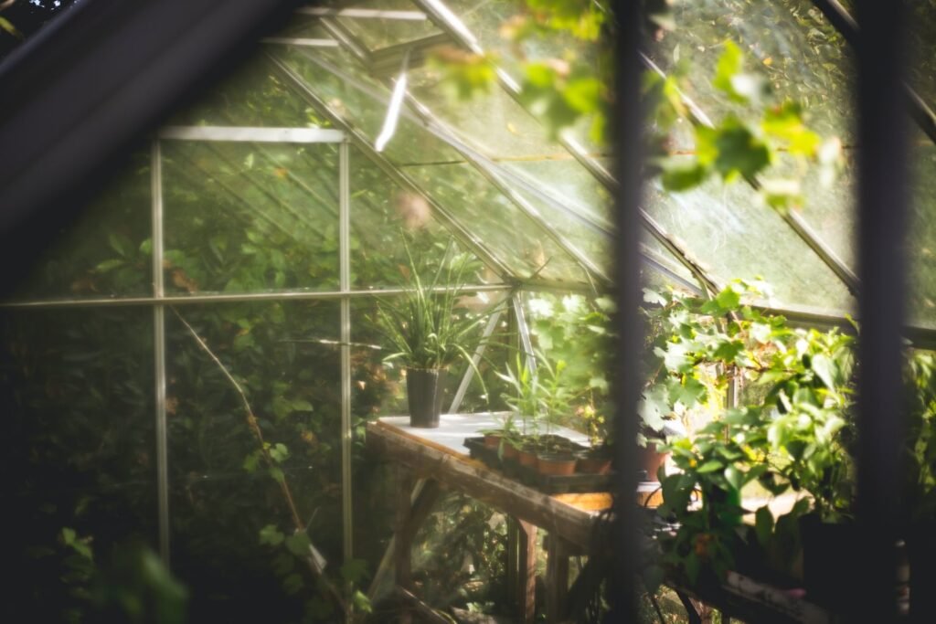 Garden Clearance London