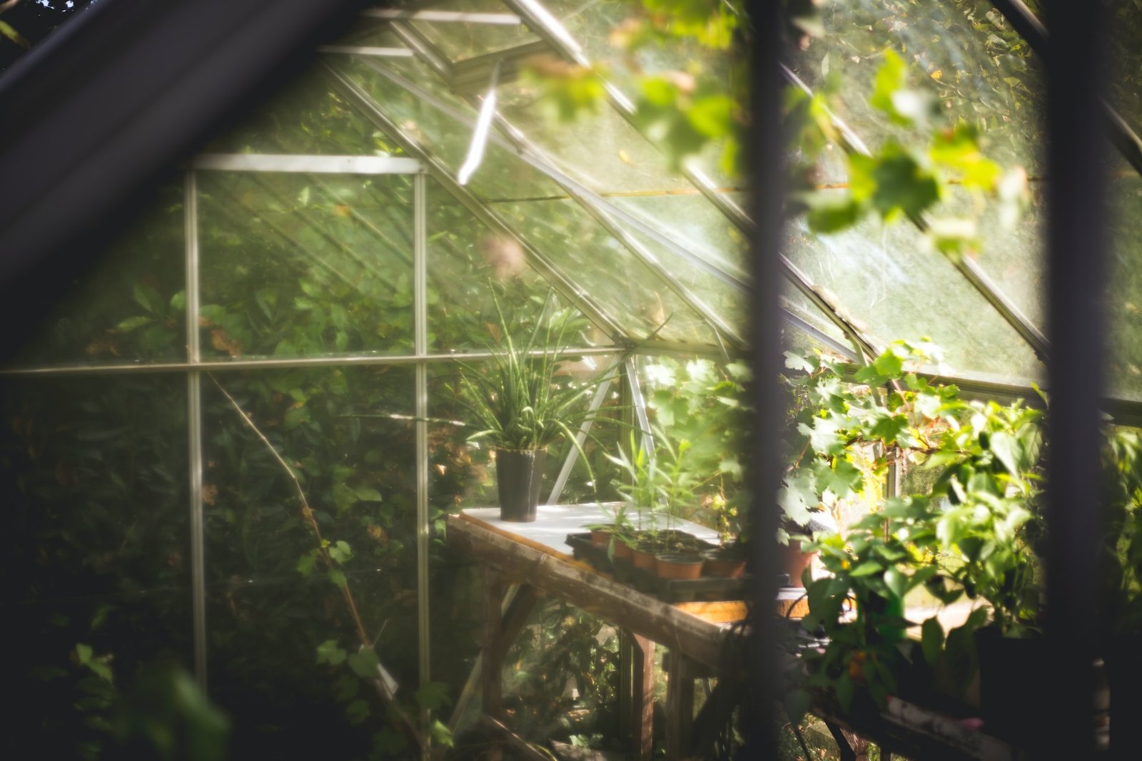 Garden Clearance London