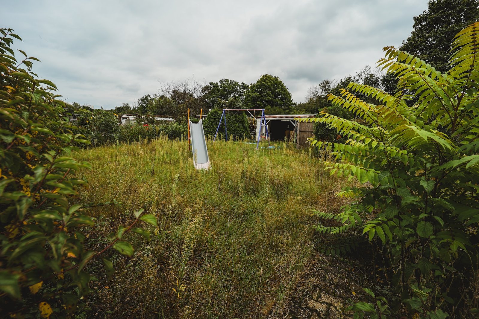 Garden Clearance London