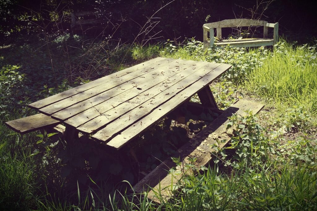 Old broken benches in an over-grown garden
